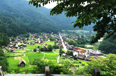 周游2处世界遗产 定期观光巴士「五箇山相仓与白川乡」